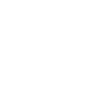 839403-IA-2025-Accelerate-Conference-US-Webpage-Icon-01